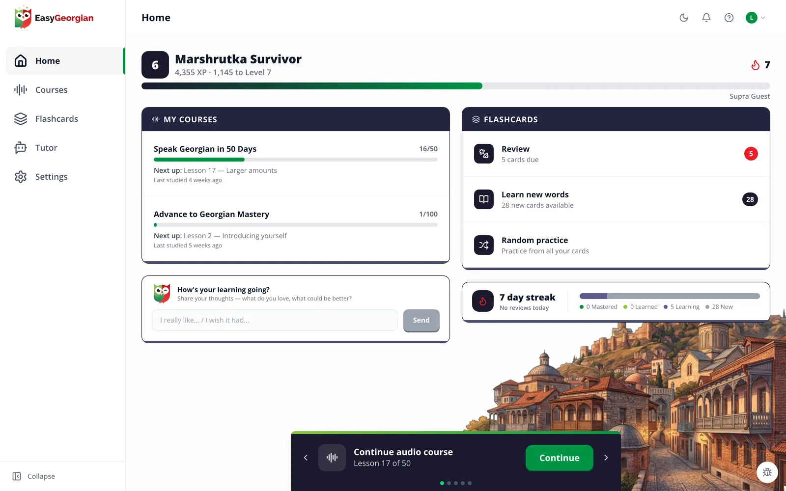 The EasyGeorgian app, showing a learner's courses and progress