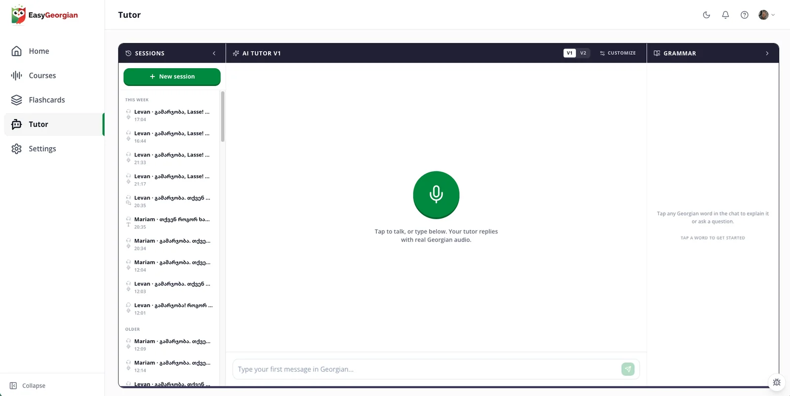 The EasyGeorgian AI tutor in the web app