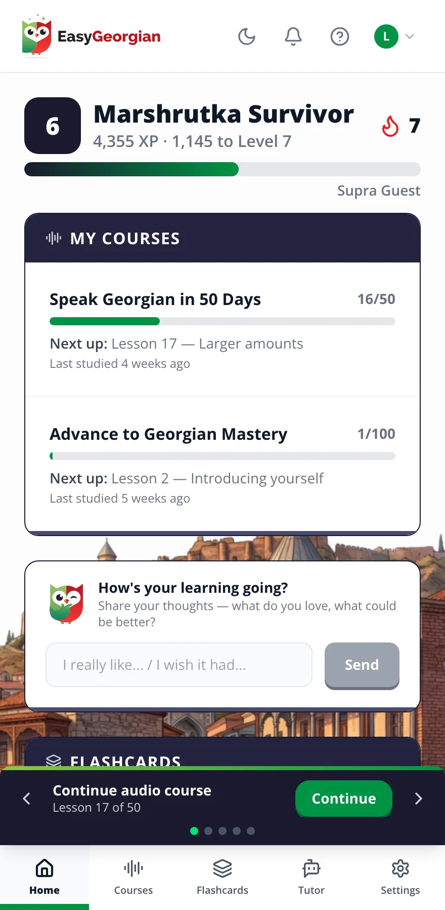 The EasyGeorgian app on a phone